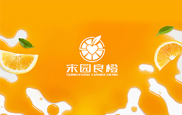 某良橙——娄底LOGO设计